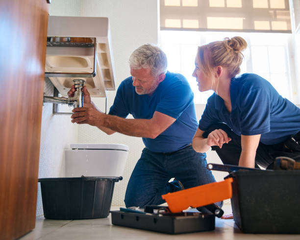 Best Clogged Drain Plumber  in St Charles, MI